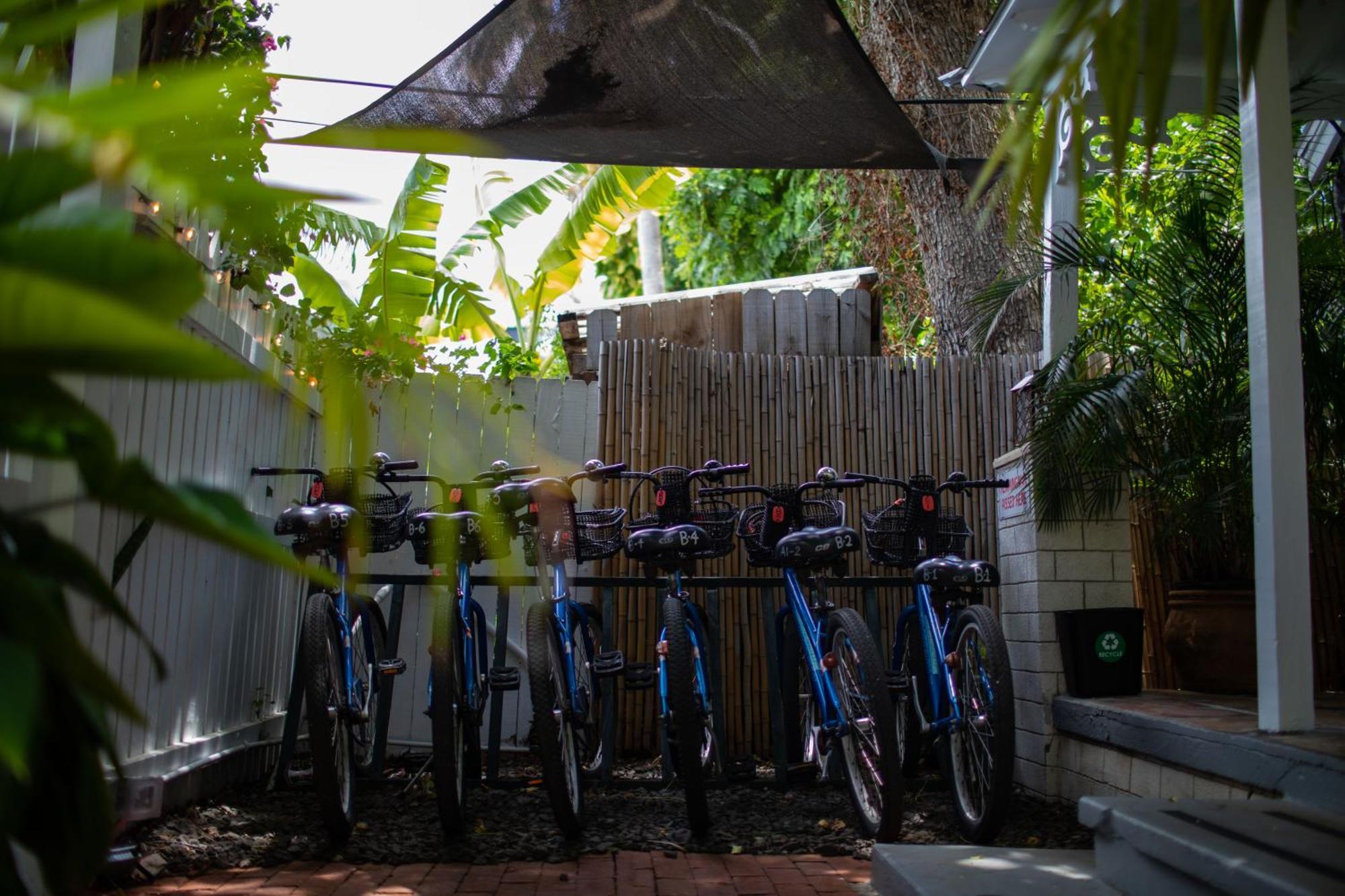 Andrews Inn & Garden Cottages Key West Ngoại thất bức ảnh